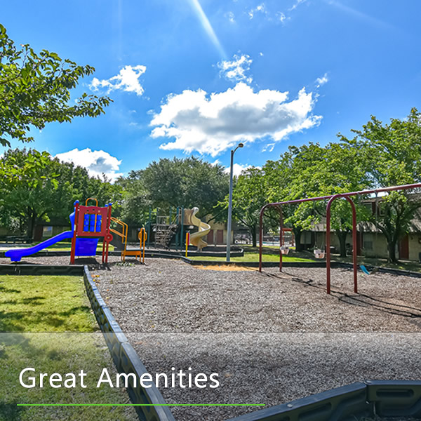 Features and Amenities